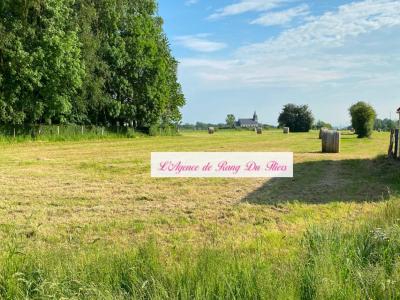 For sale Mouriez 4459 m2 Pas de calais (62140) photo 0