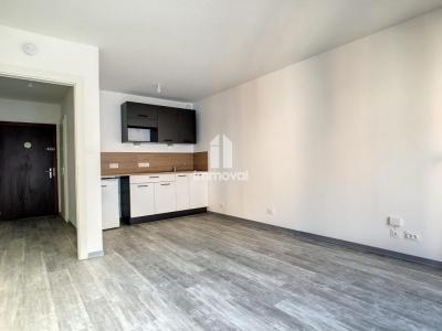 For rent Strasbourg 1 room 25 m2 Bas rhin (67000) photo 1