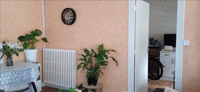 Annonce Location 3 pices Appartement Brive-la-gaillarde 19