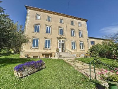 For sale Dompaire 8 rooms 282 m2 Vosges (88270) photo 0