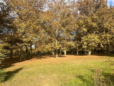 For sale Bazas 3600 m2 Gironde (33430) photo 0