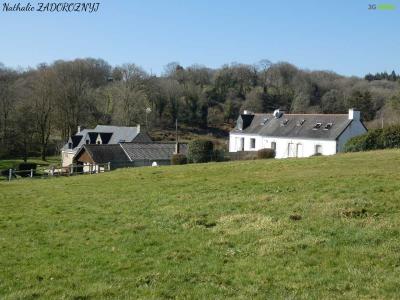 For sale Croisty 11 rooms 263 m2 Morbihan (56540) photo 2