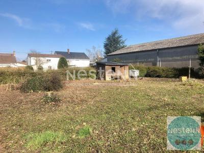 Annonce Vente Terrain Vineuil 41