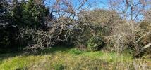 For sale Land Montelimar  1309 m2