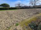 For sale Land Chabournay SAINT-MARTIN-LA-PALLU