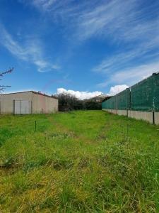 For sale CENTRE VILLE Loire atlantique (44330) photo 0