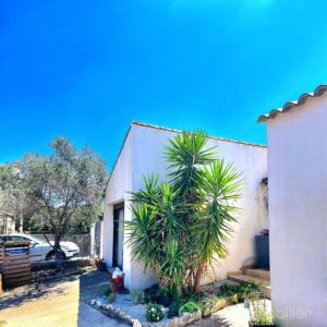 For sale Colombiers 5 rooms 137 m2 Herault (34440) photo 2