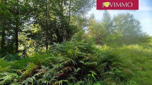 For sale Neuvic Correze (19160) photo 0