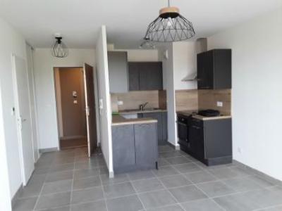 Annonce Location 2 pices Appartement Chevigny-saint-sauveur 21