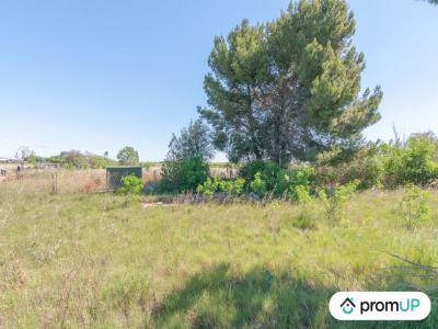 Acheter Terrain Marseillan 44000 euros