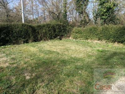 Annonce Vente 4 pices Maison Saint-judoce 22