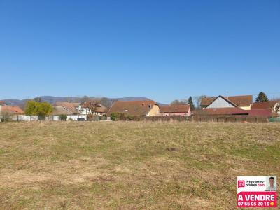 For sale Chaux 703 m2 Belfort (90330) photo 0