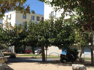 For rent Isle-sur-la-sorgue 2 rooms 46 m2 Vaucluse (84800) photo 0