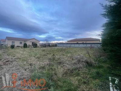 For sale Savigneux 1058 m2 Loire (42600) photo 2