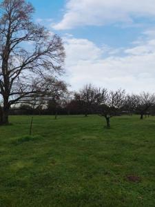 For sale Porcheres 3846 m2 Gironde (33660) photo 1