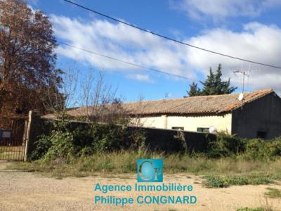 For sale Colombiers 5500 m2 Herault (34440) photo 3