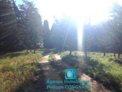 For sale Colombiers 5500 m2 Herault (34440) photo 4