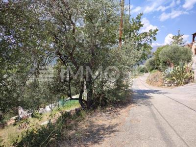 For sale Saint-martin-du-var 1026 m2 Alpes Maritimes (06670) photo 3