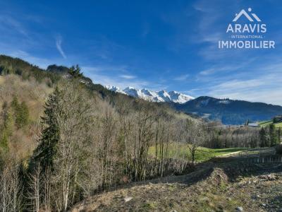 Annonce Vente Terrain Grand-bornand 74