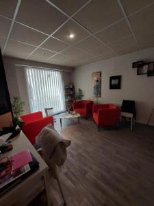Annonce Location Local commercial Avignon 84
