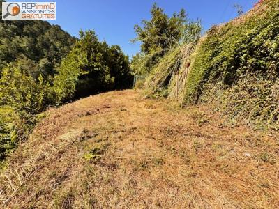 Annonce Vente 5 pices Maison Touet-de-l'escarene 06