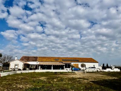 For sale EN CAMARGUE 7 rooms 265 m2 Bouches du Rhone (13200) photo 0