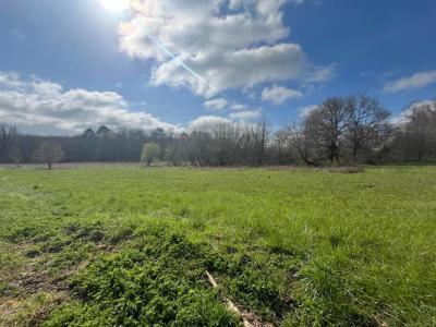 For sale Paussac-et-saint-vivien 2543 m2 Dordogne (24310) photo 0