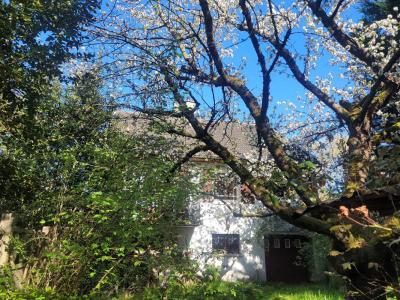 For sale Yerres 6 rooms 125 m2 Essonne (91330) photo 0