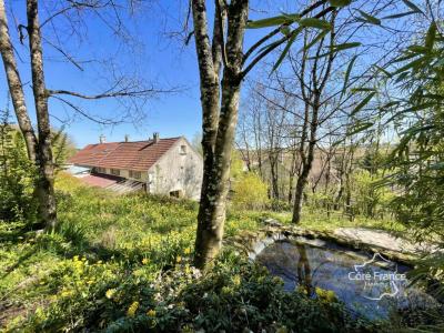 For sale Merry-sec 6 rooms 148 m2 Yonne (89560) photo 0