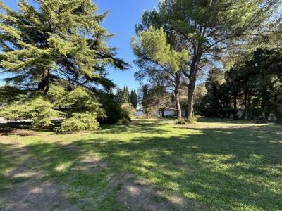 For sale Avignon 513 m2 Vaucluse (84000) photo 0