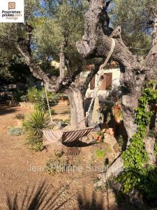 For sale Cadiere-d'azur 6 rooms 125 m2 Var (83740) photo 3