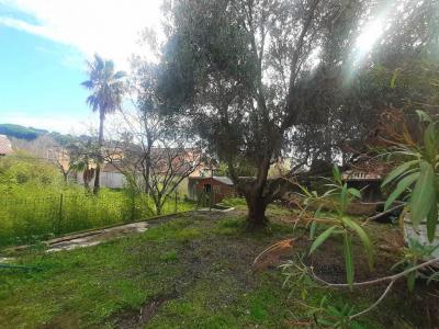 For sale Carry-le-rouet 716 m2 Bouches du Rhone (13620) photo 1