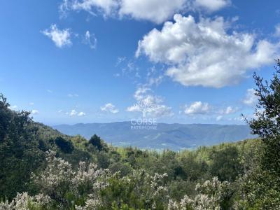 For sale Olmeto 2400 m2 Corse (20113) photo 0
