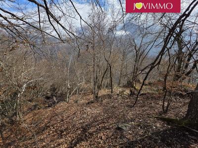 Acheter Terrain Olby