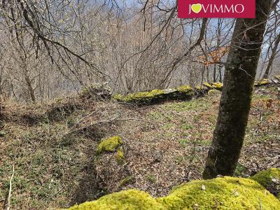 Acheter Terrain Olby Puy de dome