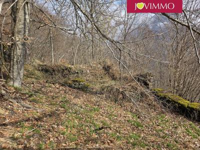 Acheter Terrain Olby 37070 euros