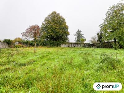 For sale Chinon 1510 m2 Indre et loire (37500) photo 0
