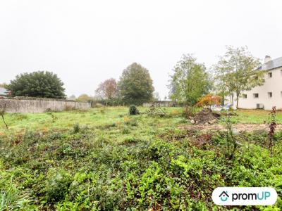 For sale Chinon 1510 m2 Indre et loire (37500) photo 1