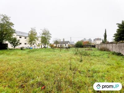 For sale Chinon 1510 m2 Indre et loire (37500) photo 4