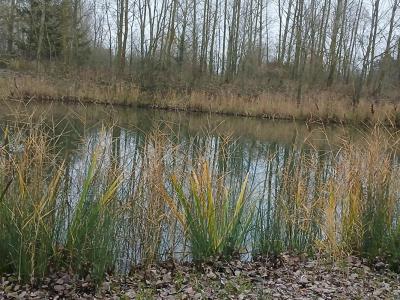 For sale Lille 3141 m2 Nord (59000) photo 0