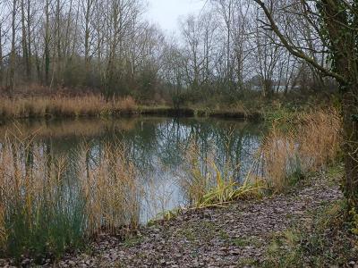 For sale Lille 3141 m2 Nord (59000) photo 3