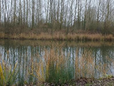 For sale Lille 3296 m2 Nord (59000) photo 4