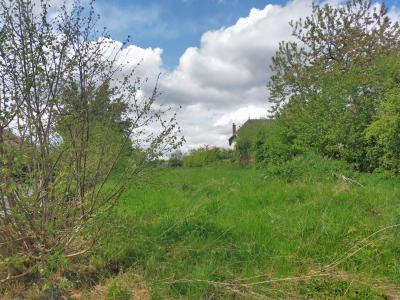 Annonce Vente Terrain  53