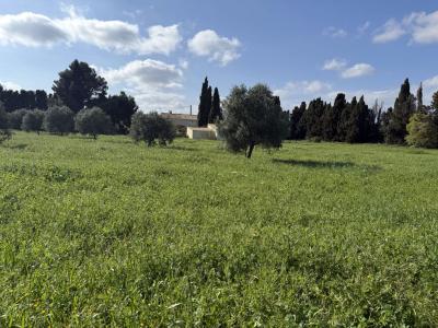 For sale 7 rooms 171 m2 Aude (11120) photo 0