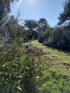 Acheter Terrain Cannet-des-maures 146790 euros
