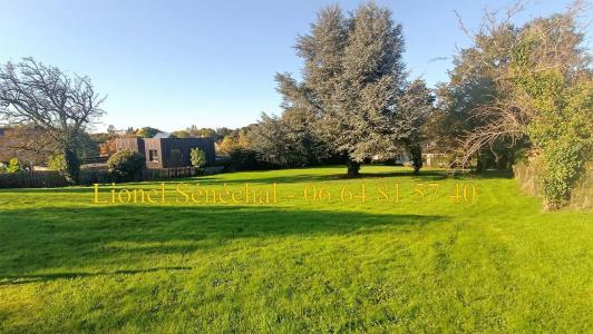 Annonce Vente Terrain Coulaines 72