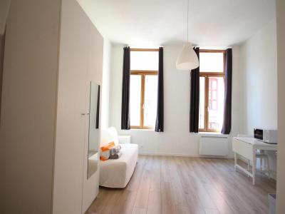 For rent Lille 1 room 23 m2 Nord (59800) photo 1