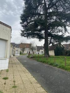 For rent Reuilly 1 room 35 m2 Indre (36260) photo 2