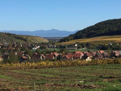 For sale Soultzmatt 570 m2 Haut rhin (68570) photo 0