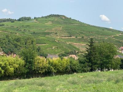 For sale Soultzmatt 570 m2 Haut rhin (68570) photo 1